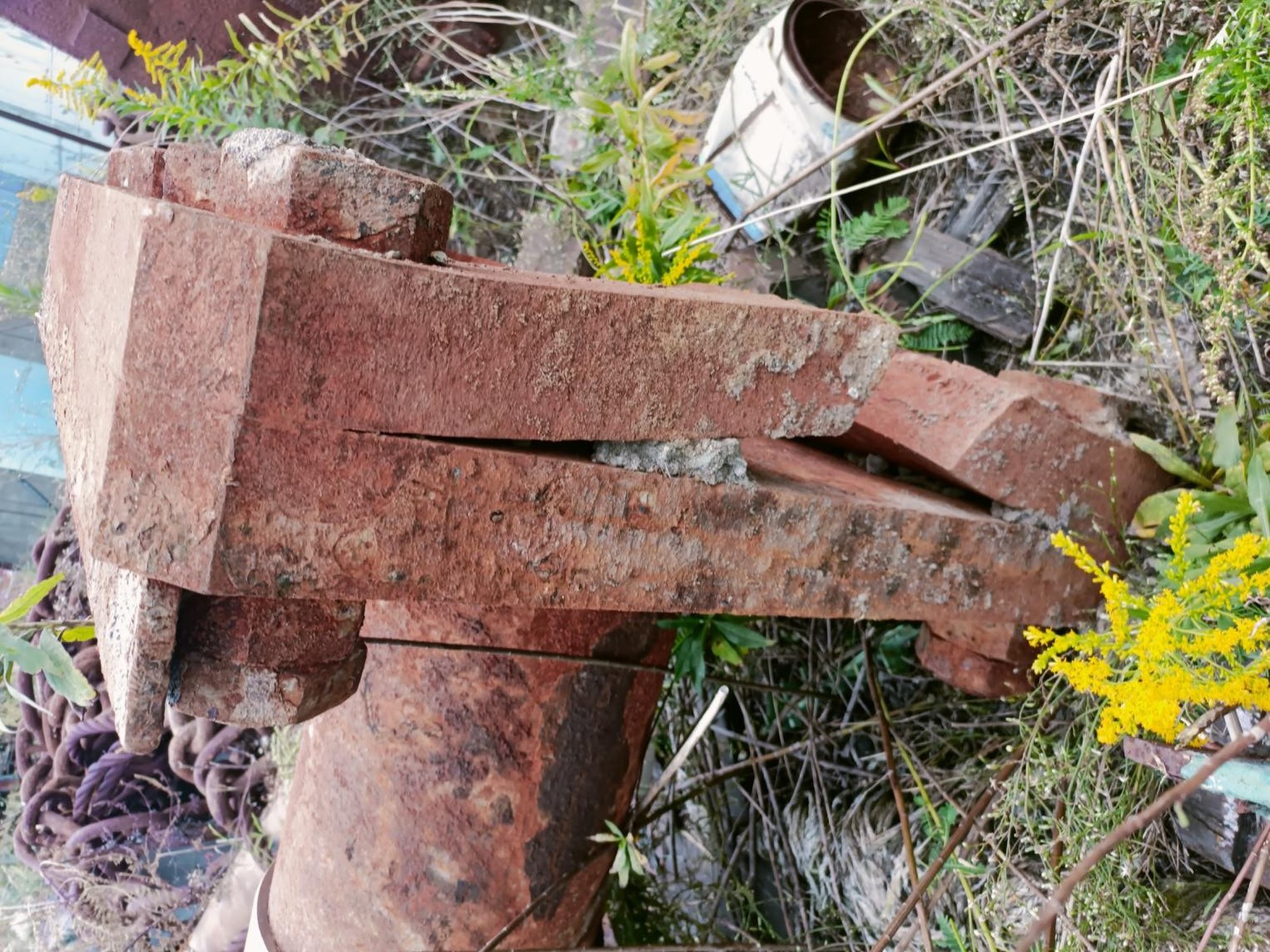 船舶质量鉴定评估 船舶质量鉴定评估